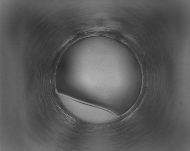 X0000052961305200507080845
