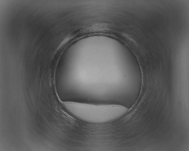 X0000052961306200507080845