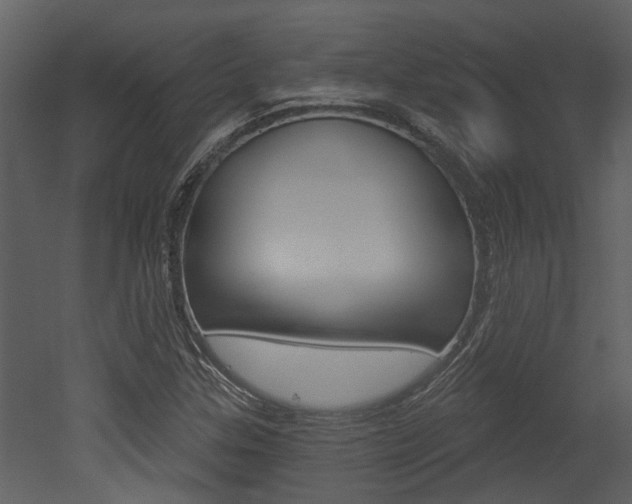 X0000052961307200507080845
