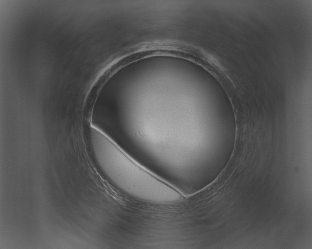 X0000052961312200507080845
