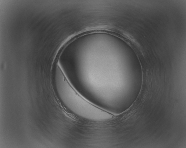 X0000052961316200507080845