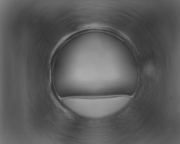 X0000052961323200507080846