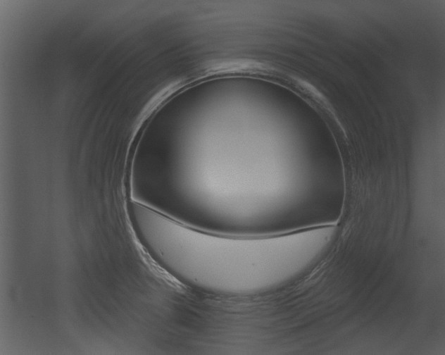 X0000052961330200507080846
