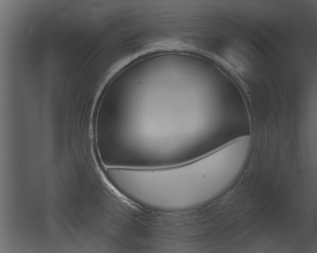X0000052961335200507080846