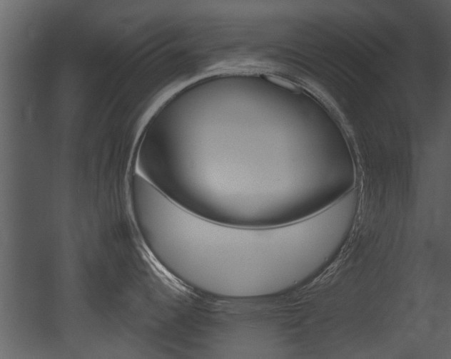 X0000052961344200507080846