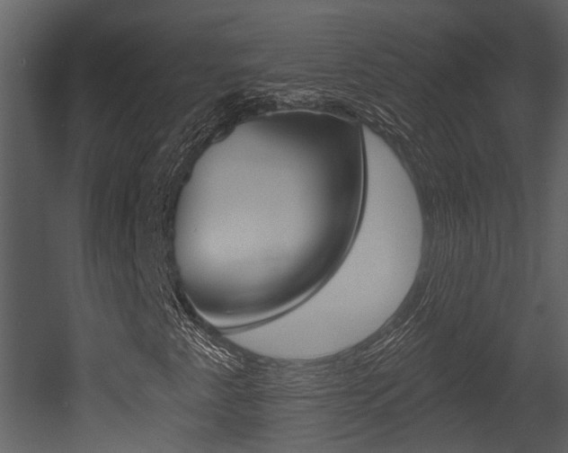 X0000052961345200507080845