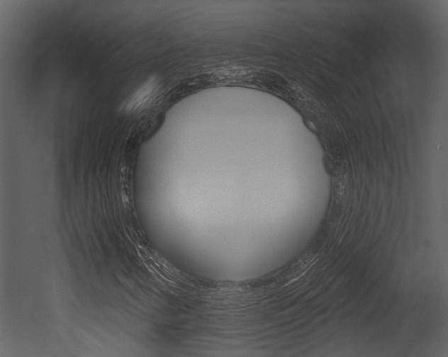 X0000052961346200507080845