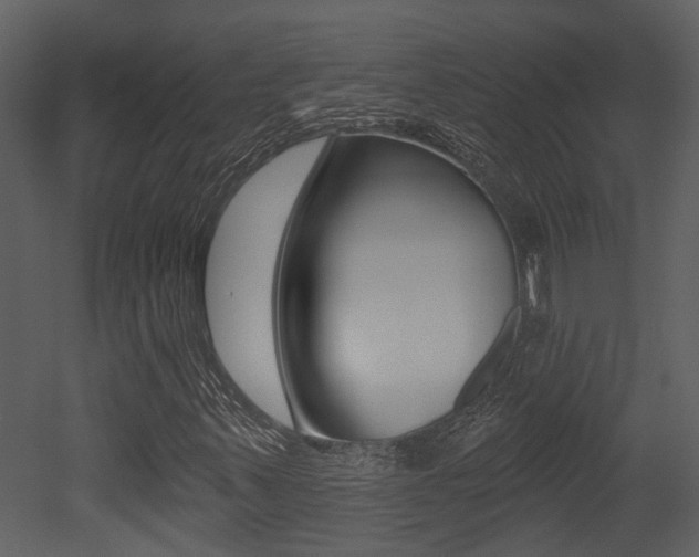X0000052961347200507080845