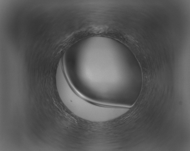 X0000052961349200507080845