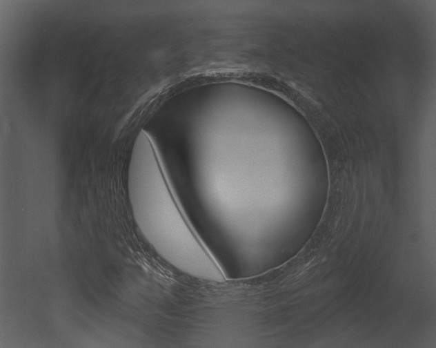 X0000052961351200507080845