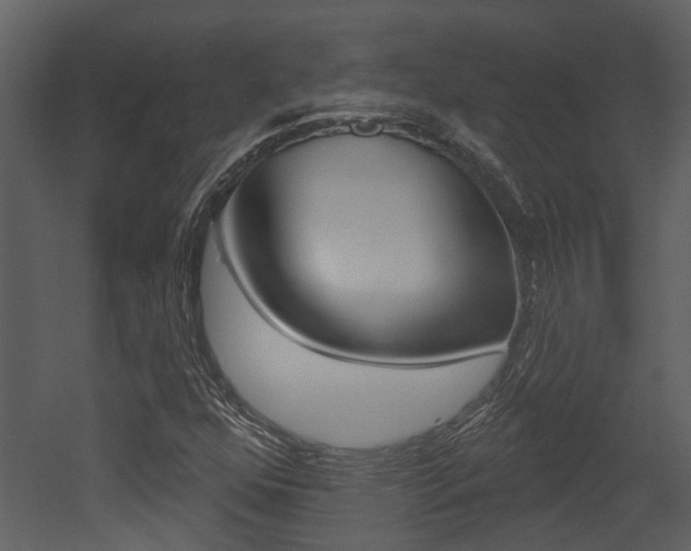 X0000052961352200507080845