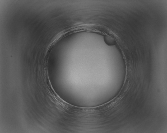 X0000052961354200507080845
