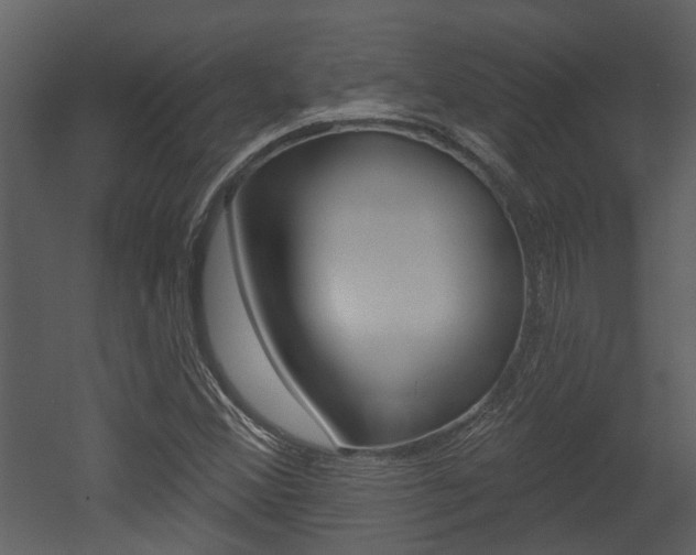 X0000052961356200507080845