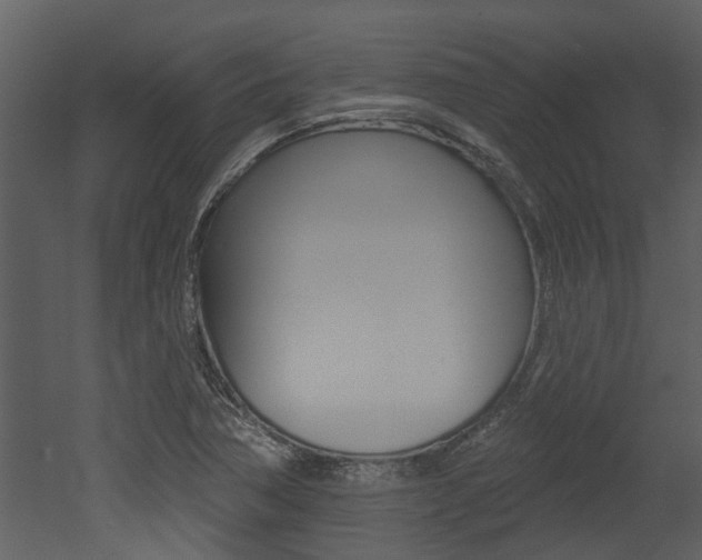 X0000052961362200507080845