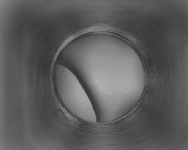 X0000052961366200507080845