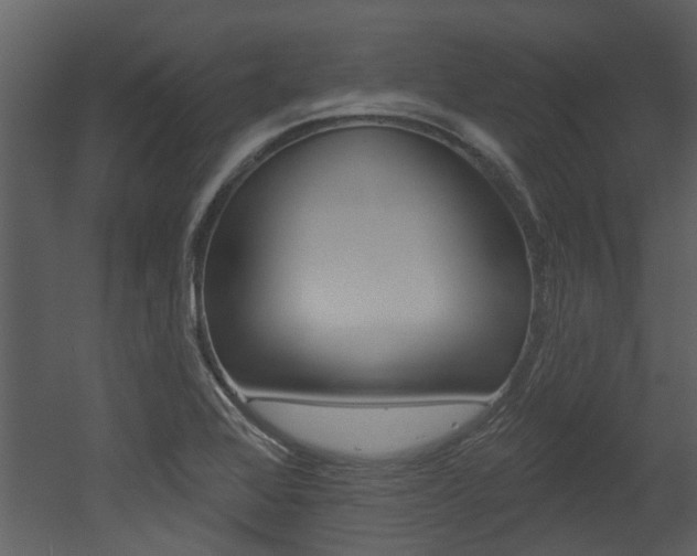 X0000052961368200507080845