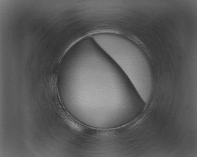 X0000052961369200507080845