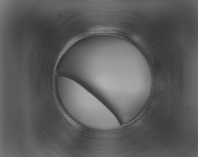 X0000052961370200507080845