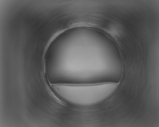 X0000052961371200507080845