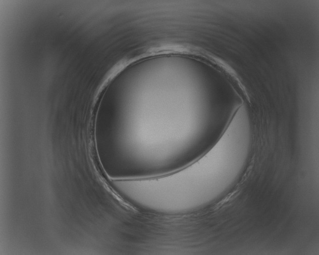 X0000052961373200507080845