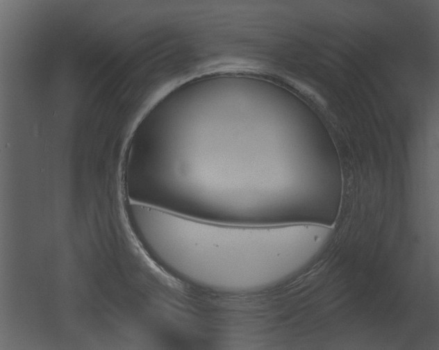 X0000052961375200507080845