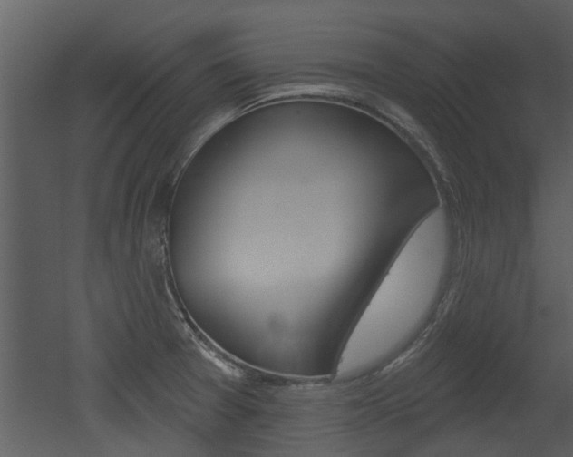 X0000052961377200507080845