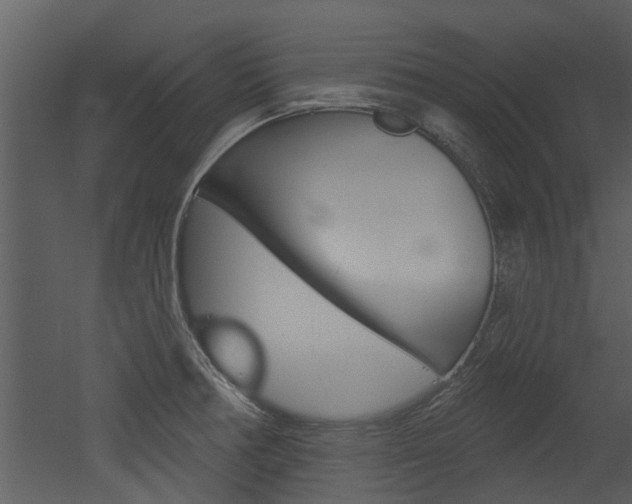 X0000052961378200507080845
