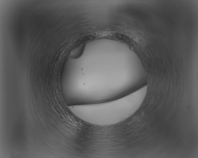 X0000052961393200507080844