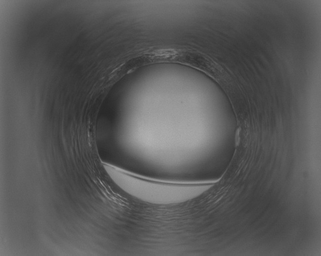 X0000052961394200507080844