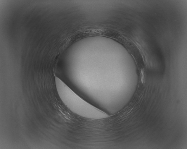 X0000052961395200507080844