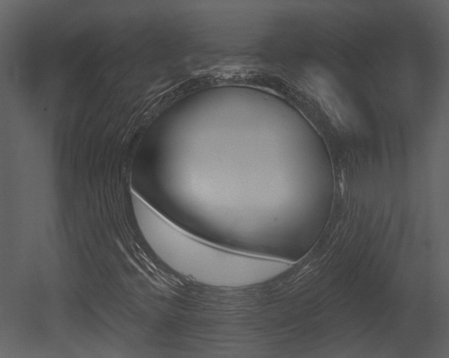 X0000052961396200507080844