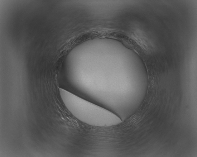 X0000052961397200507080844