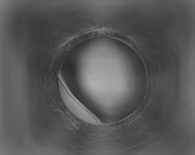 X0000052961398200507080844