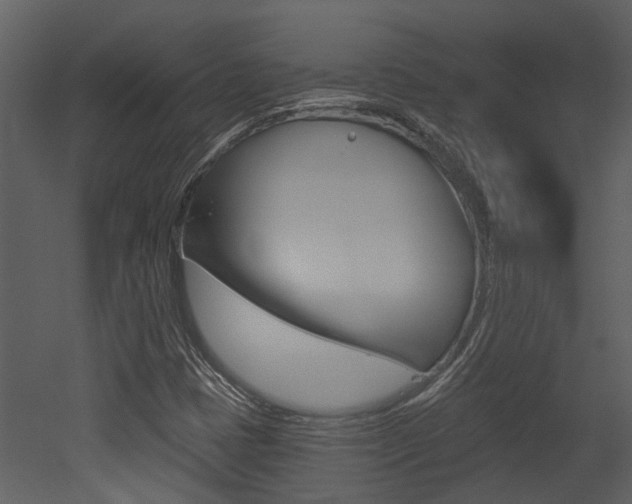 X0000052961401200507080844