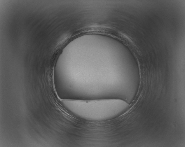 X0000052961403200507080844