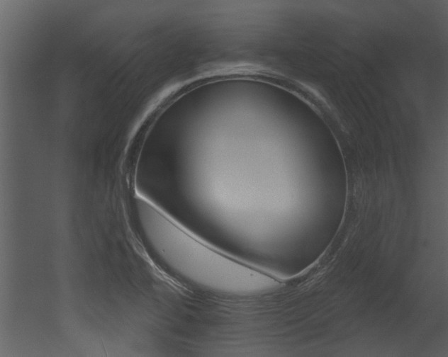 X0000052961414200507080844