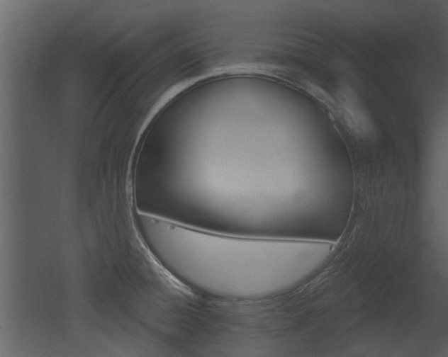 X0000052961428200507080844