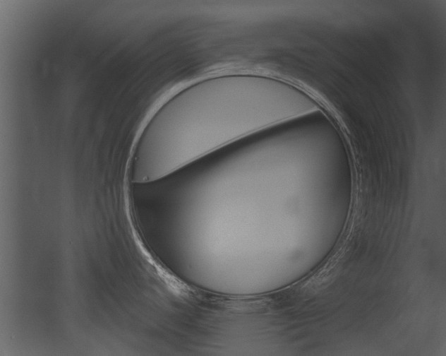 X0000052961440200507080844