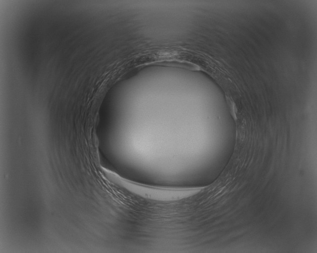X0000052961441200507080843