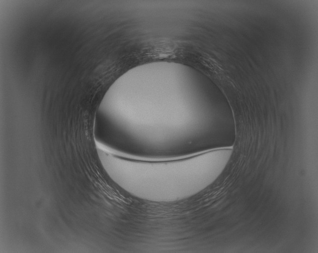X0000052961442200507080843