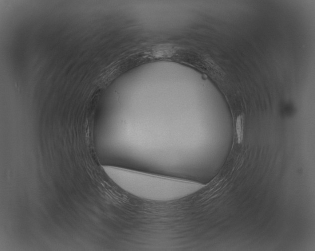 X0000052961443200507080843