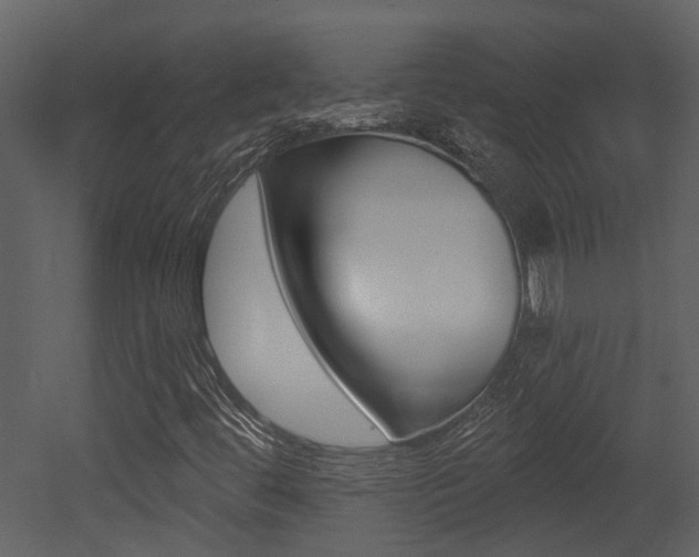 X0000052961444200507080843