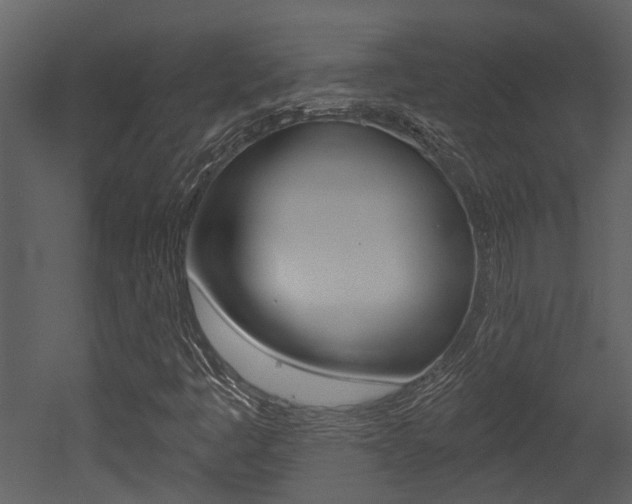 X0000052961445200507080843