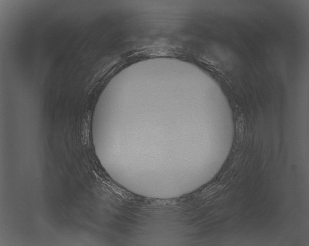 X0000052961446200507080843