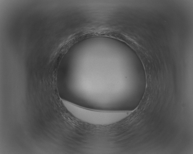 X0000052961447200507080843