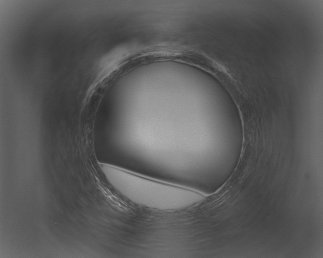 X0000052961448200507080843