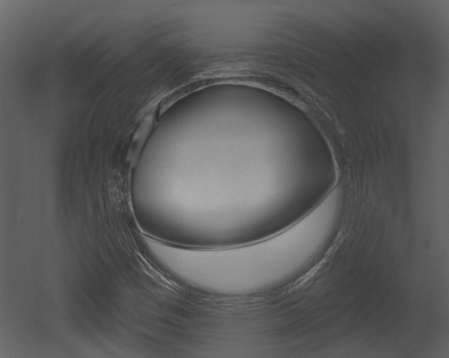 X0000052961449200507080843