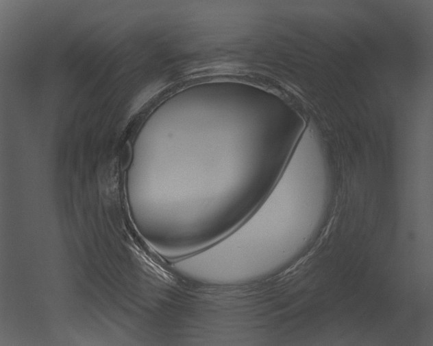 X0000052961450200507080843