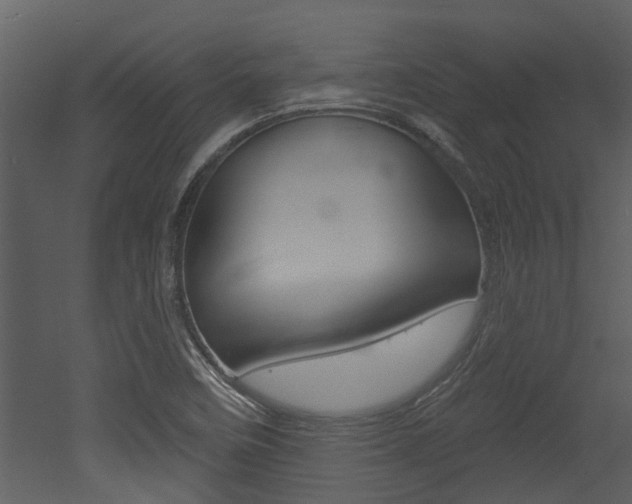 X0000052961458200507080843