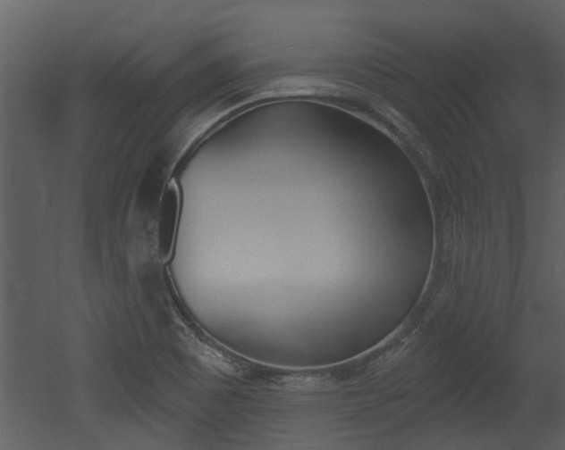 X0000052961465200507080843